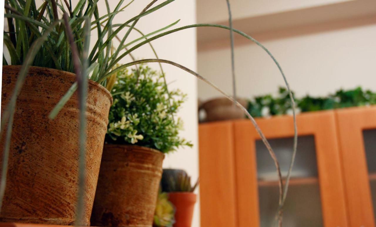 Acropolis, Urban Lifestyle Apartment Атина Екстериор снимка